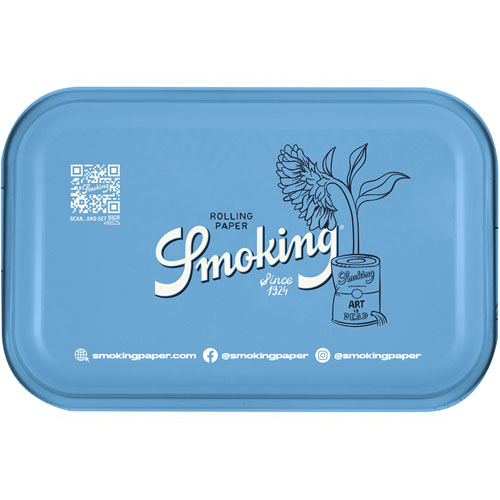 250-530b_ROLLING TRAY SMOKING ART IS DEAD BACK